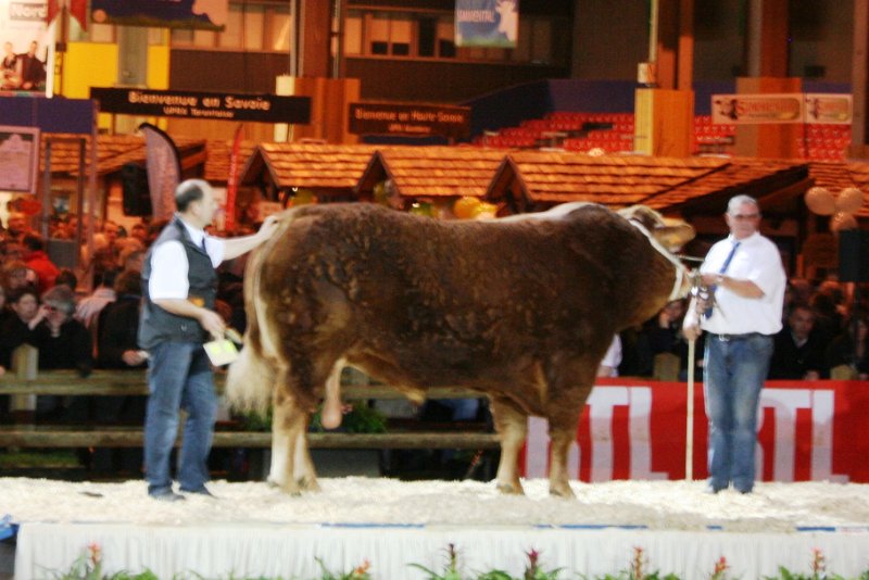 cga 2012 015.JPG